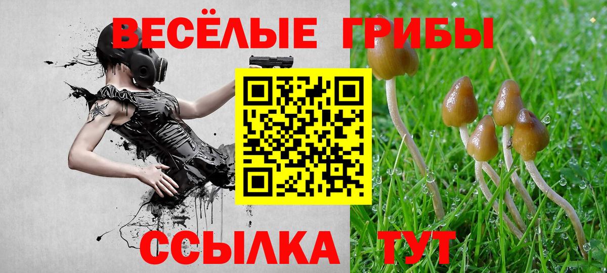 Псилоцибиновые грибы мицелий  Вход с VPN  Камышлов 